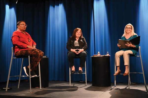 Cathy Whiteman, Rep. Terry Meza and Dr. Alice Owen discuss proposed amendments to the Texas Constitution.