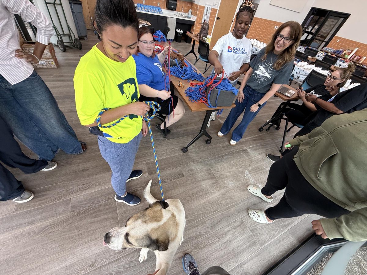 At the Garland Animal Shelter event, available dogs and
cats were shown to people interested in adoption.